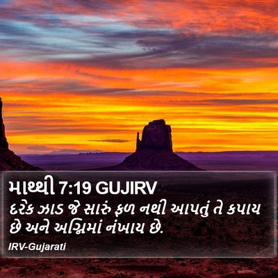 માથ્થી 7:19 GUJIRV Bible Verse Image