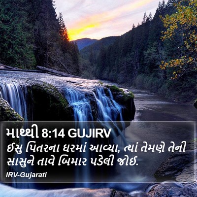 માથ્થી 8:14 GUJIRV Bible Verse Image