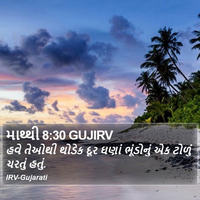 માથ્થી 8:30 GUJIRV Bible Verse Image