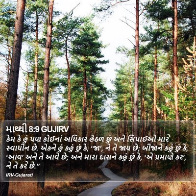 માથ્થી 8:9 GUJIRV Bible Verse Image