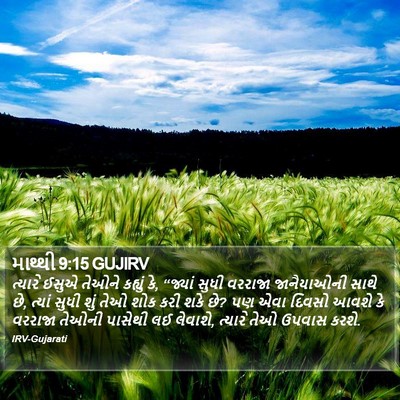 માથ્થી 9:15 GUJIRV Bible Verse Image