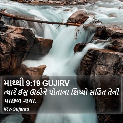 માથ્થી 9:19 GUJIRV Bible Verse Image