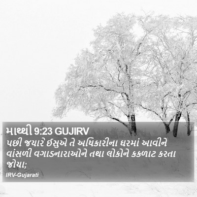 માથ્થી 9:23 GUJIRV Bible Verse Image