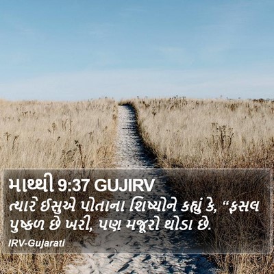 માથ્થી 9:37 GUJIRV Bible Verse Image