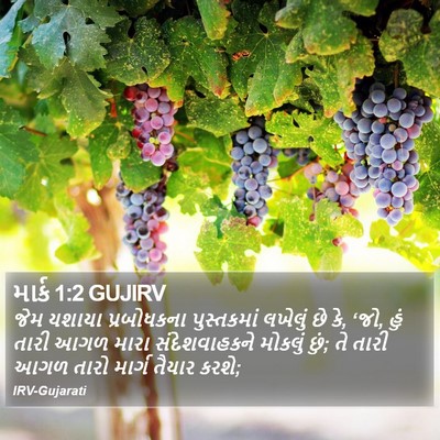 માર્ક 1:2 GUJIRV Bible Verse Image