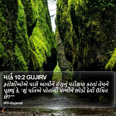 માર્ક 10:2 GUJIRV Bible Verse Image