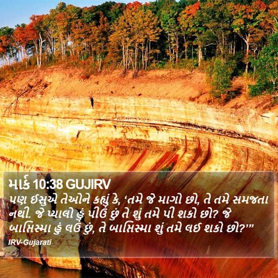 માર્ક 10:38 GUJIRV Bible Verse Image