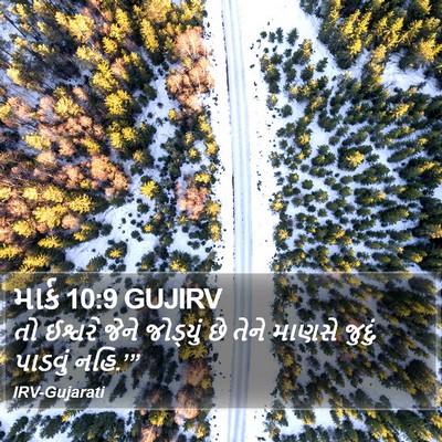 માર્ક 10:9 GUJIRV Bible Verse Image