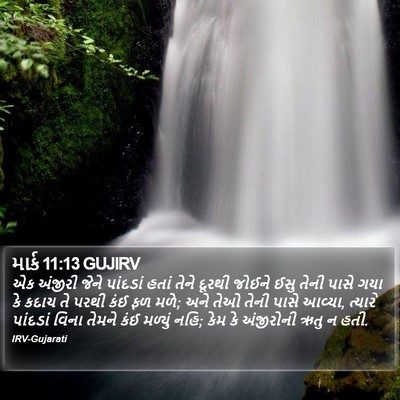 માર્ક 11:13 GUJIRV Bible Verse Image