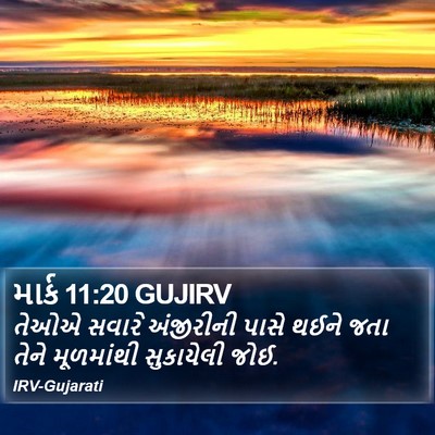 માર્ક 11:20 GUJIRV Bible Verse Image