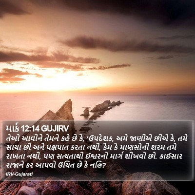 માર્ક 12:14 GUJIRV Bible Verse Image