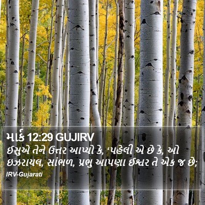માર્ક 12:29 GUJIRV Bible Verse Image