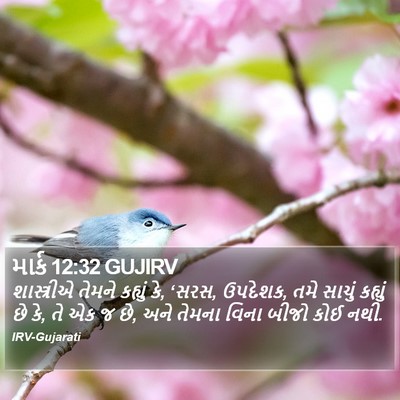 માર્ક 12:32 GUJIRV Bible Verse Image