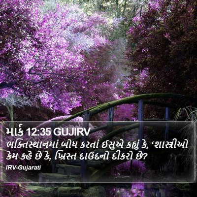 માર્ક 12:35 GUJIRV Bible Verse Image