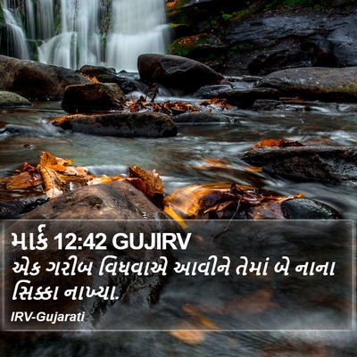 માર્ક 12:42 GUJIRV Bible Verse Image