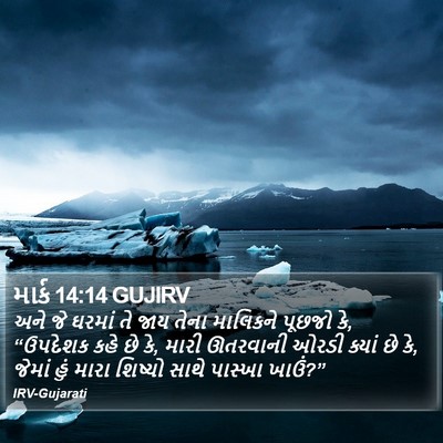 માર્ક 14:14 GUJIRV Bible Verse Image