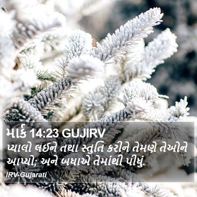 માર્ક 14:23 GUJIRV Bible Verse Image