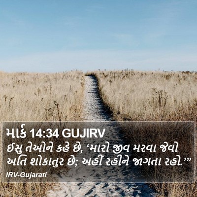 માર્ક 14:34 GUJIRV Bible Verse Image