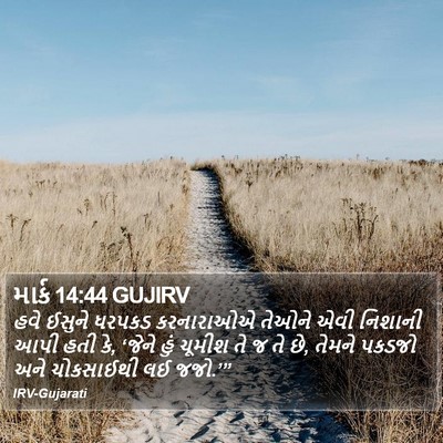માર્ક 14:44 GUJIRV Bible Verse Image