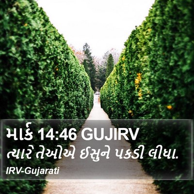 માર્ક 14:46 GUJIRV Bible Verse Image