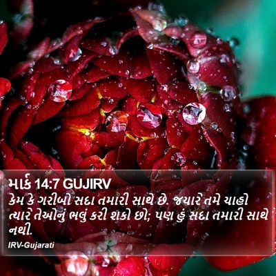 માર્ક 14:7 GUJIRV Bible Verse Image