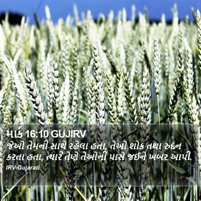 માર્ક 16:10 GUJIRV Bible Verse Image