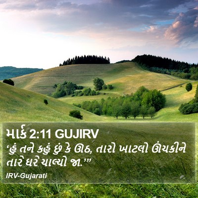 માર્ક 2:11 GUJIRV Bible Verse Image