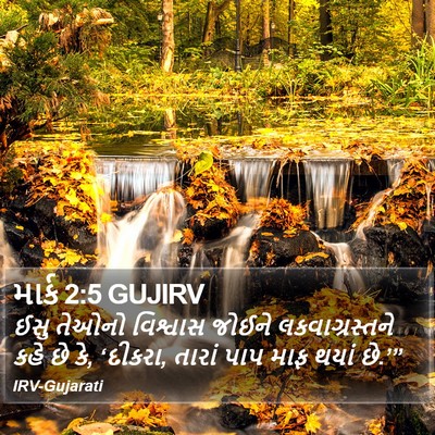 માર્ક 2:5 GUJIRV Bible Verse Image