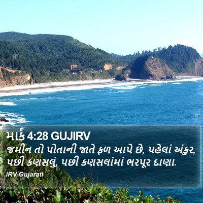 માર્ક 4:28 GUJIRV Bible Verse Image