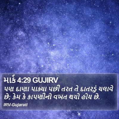 માર્ક 4:29 GUJIRV Bible Verse Image