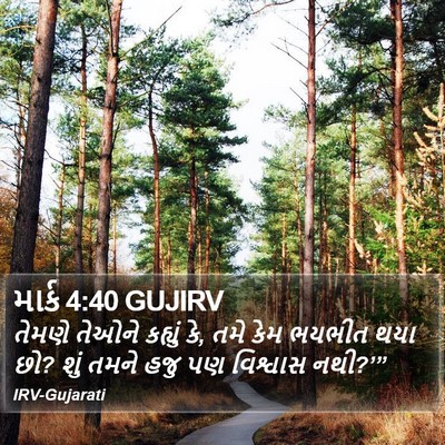 માર્ક 4:40 GUJIRV Bible Verse Image