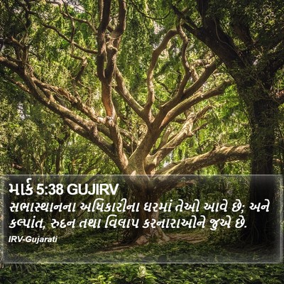 માર્ક 5:38 GUJIRV Bible Verse Image
