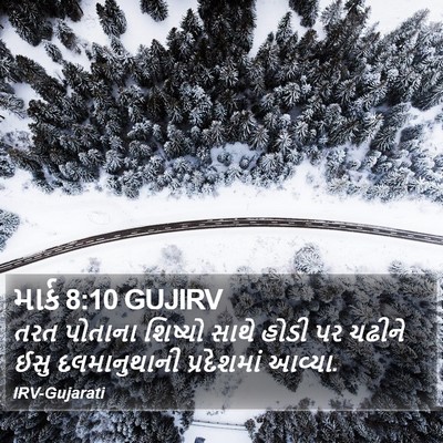 માર્ક 8:10 GUJIRV Bible Verse Image