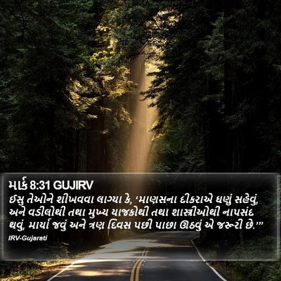 માર્ક 8:31 GUJIRV Bible Verse Image