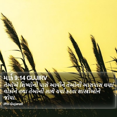 માર્ક 9:14 GUJIRV Bible Verse Image