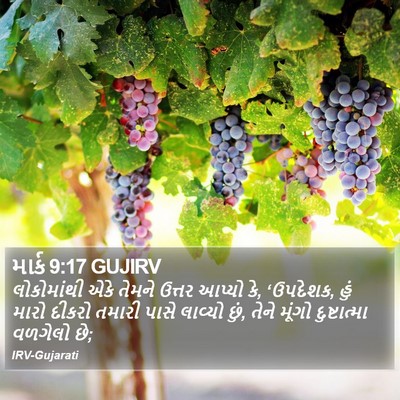 માર્ક 9:17 GUJIRV Bible Verse Image