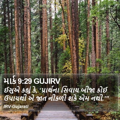 માર્ક 9:29 GUJIRV Bible Verse Image
