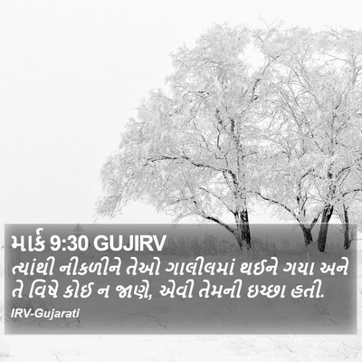 માર્ક 9:30 GUJIRV Bible Verse Image