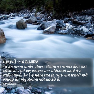 માલાખી 1:14 GUJIRV Bible Verse Image