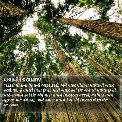 માલાખી 1:6 GUJIRV Bible Verse Image