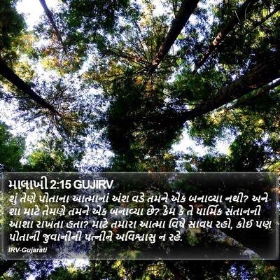 માલાખી 2:15 GUJIRV Bible Verse Image