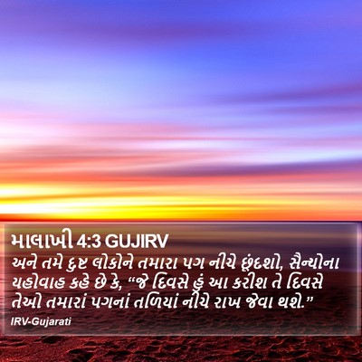 માલાખી 4:3 GUJIRV Bible Verse Image