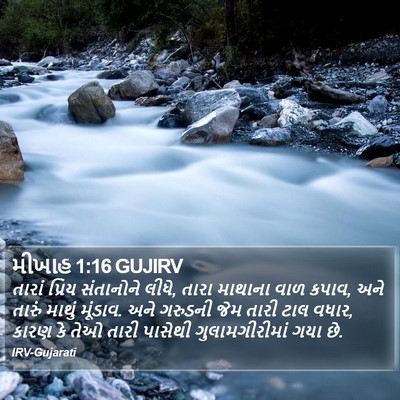 મીખાહ 1:16 GUJIRV Bible Verse Image