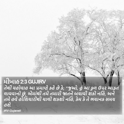 મીખાહ 2:3 GUJIRV Bible Verse Image