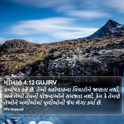 મીખાહ 4:12 GUJIRV Bible Verse Image