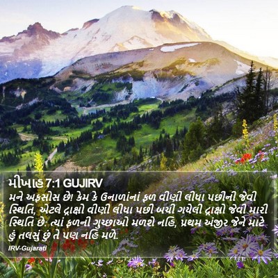 મીખાહ 7:1 GUJIRV Bible Verse Image