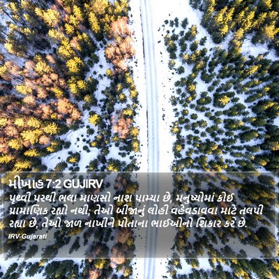 મીખાહ 7:2 GUJIRV Bible Verse Image