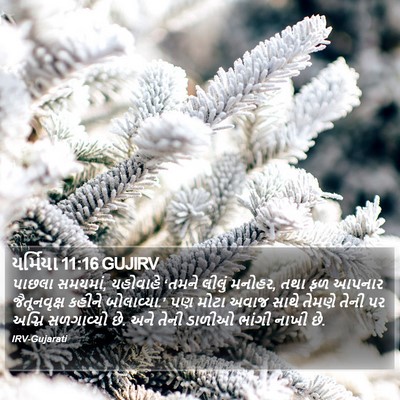 યર્મિયા 11:16 GUJIRV Bible Verse Image