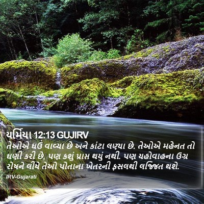 યર્મિયા 12:13 GUJIRV Bible Verse Image