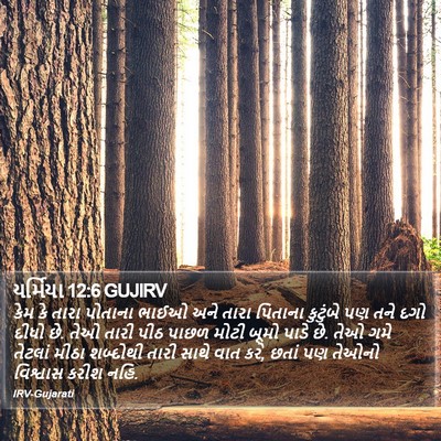 યર્મિયા 12:6 GUJIRV Bible Verse Image